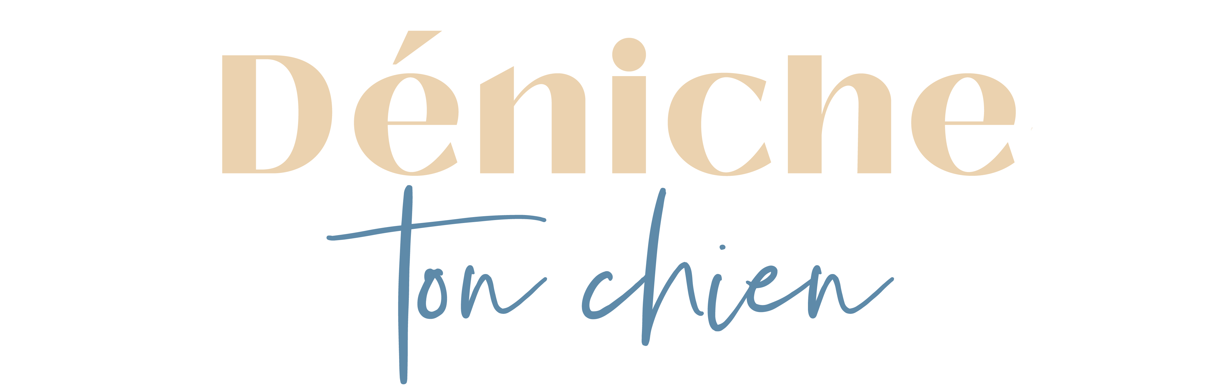 Déniche Ton Chien