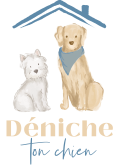 logo_deniche_ton_chien_officiel